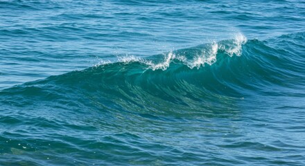 Fototapeta premium Ocean Wave with Blue and Turquoise Water