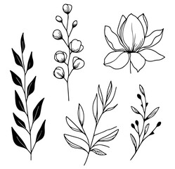 botanical leaves and flowers hand drawn vector