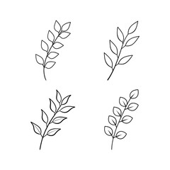 Eucalyptus branch line art illustration