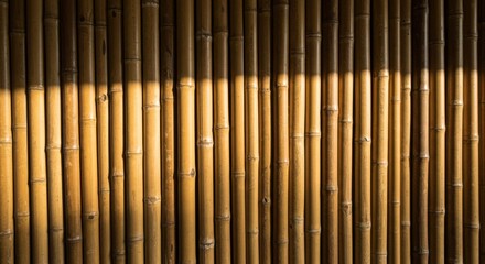 Golden Bamboo Wall Texture With Sunlight Shadow