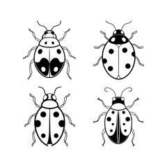 Ladybug top view line art illustration.