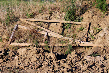 Weathered wooden frame lies broken on dry, clumpy soil, surrounded by wild grasses and weeds, showing signs of abandonment and exposure in a sunlit, overgrown field
