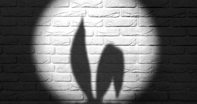  A spotlight highlights the shadow of cartoon bunny ears on a textured brick wall