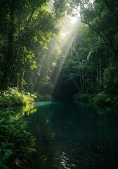 Obraz premium Sunbeams Illuminate Lush Green Tropical Forest River