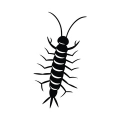 centipede insect black vector