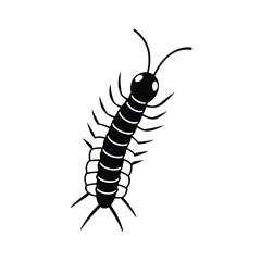 centipede insect black vector