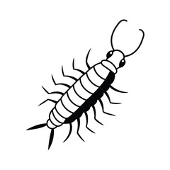 centipede insect black vector
