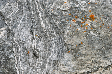 Close-up view of sedimentary rock showcasing intricate gray patterns and vibrant orange lichen, highlighting nature's artistry.