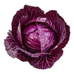 Obraz premium red cabbage isolated on transparent background, png