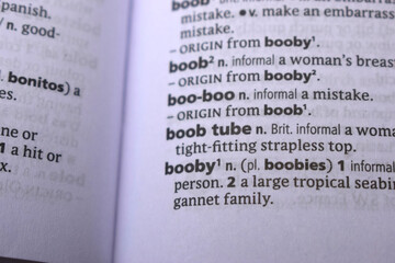 English Dictionary Definition Of Word - Boob tube
