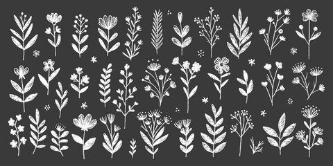 Spring white pencil botanical illustration with hand-drawn wildflowers