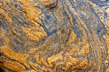 Intricate patterns of orange and black on a textured rock surface reveal geological processes along a coastal environment, emphasizing natural beauty.