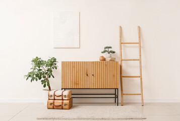 Interior of modern room with stylish dresser, houseplant and ladder near white wall