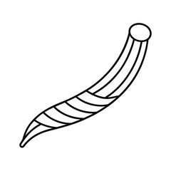 white line rib outline vector illustration