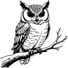 Wise Owl Perched on a Branch: This image captures a detailed drawing of a majestic owl perched on a branch, exuding an air of wisdom and mystery, showcasing its intricate feathers and keen gaze.
