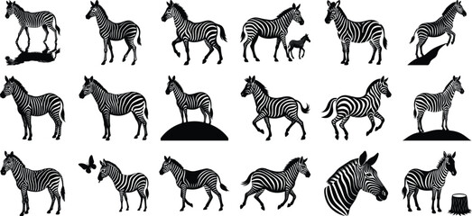 Black Zebra Silhouette Vector, on white background.