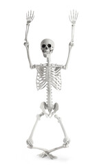 Funny human skeleton dancing on white background