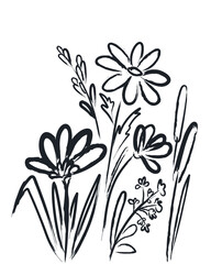 Abstract floral composition. Bouquet of hand drawn flowers and herbs. Floral black brush strokes drawing. Minimalistic collage of modern botanical doodles