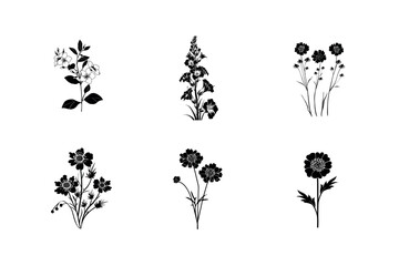 Naklejka premium Six black and white floral silhouettes botanical illustrations