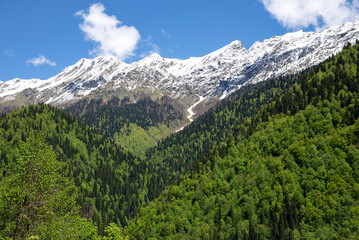 View of the snow-capped mountain peaks. Republic of Abkhazia