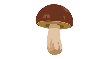 Delicious Edible Mushrooms A Comprehensive Guide to Identifying Safe and Tasty Varieties