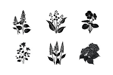 Obraz premium Six black silhouettes of various flowers and plants