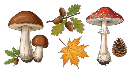 Exploring the Fascinating World of Fungi Woodland Wonders Acorns Leaves and Forest Treasures © Rafiya1727