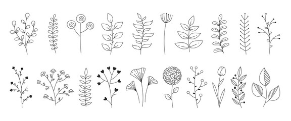 Hand drawn floral set. Simple botanical elements in linear doodle style. Minimal flowers and leaves for design and decoration. Vector 10 EPS.