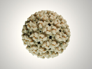 Chikungunya virus. It causes the Chikungunya disease. A mosquito mediated infection