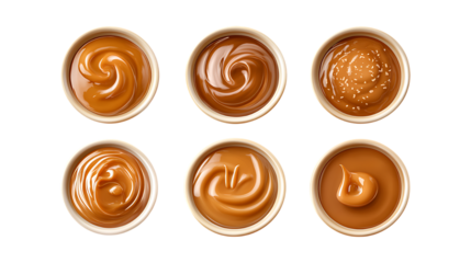 Pack Collection Dulce de Leche Caramel Sauce Variations Texture  Taste set against transparent background