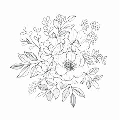 Fototapeta premium vector Line art Sketch Floral Botany. flower drawings.