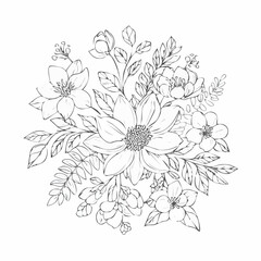 vector Line art Sketch Floral Botany. flower drawings.