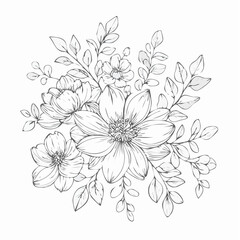 vector Line art Sketch Floral Botany. flower drawings.
