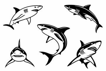 Obraz premium set of sharks