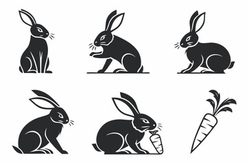 Fototapeta premium set of rabbits