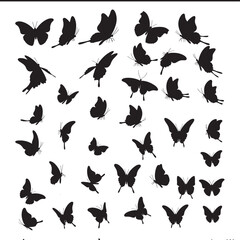 Black silhouette butterfly set in various flying poses isolated on white background for design element vector illustration 