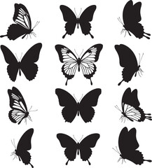 Fototapeta premium Black silhouette butterfly set with detailed wings isolated on white background for design element vector illustration