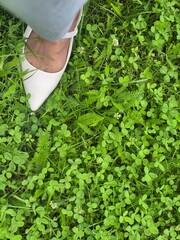 green grass in the park