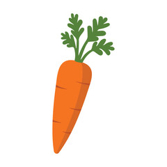 Carrots icon, carrot vector. carrot, icon, orange, vector, food, fresh, natural, organic, Carrot icon vector on white background. Vector illustration.