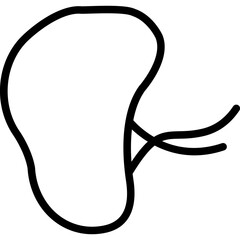 Spleen Icon