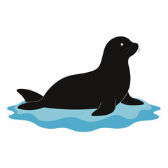 sea lion vector illustration