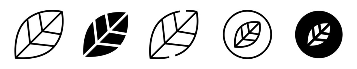 Conjunto de iconos de hoja de planta. Naturaleza, ecología y diseño orgánico. Hoja lineal, sólida. Ilustración vectorial