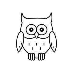 owl