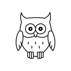 owl