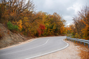 Curved road surrounded by autumn trees with vibrant orange and yellow leaves. Overcast sky above...