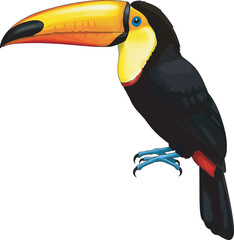 Naklejka premium Colorful Toucan Bird Clip Art vector and Illustration white color background