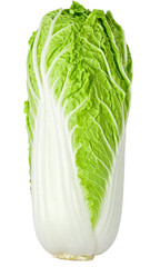 fresh Chinese cabbage isolated on transparent background, png