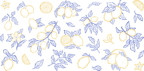 Set of isolated elements of lemons, branches, leaves and flowers on white backdrop. Sketch italian style. Flat vector illustration. Mediterranean life. Perfect for card, poster, print, cover