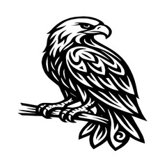Fototapeta premium eagle head vocter