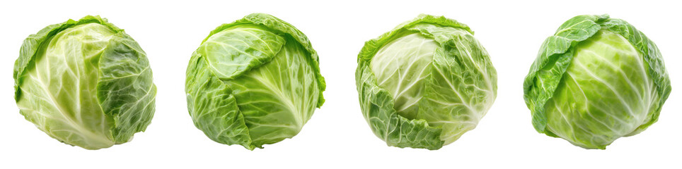Fototapeta premium Studio Shot of Single Cabbage Head with Detailed Leaf Texture for Culinary or Dietary Usage a PNG set with transparent background